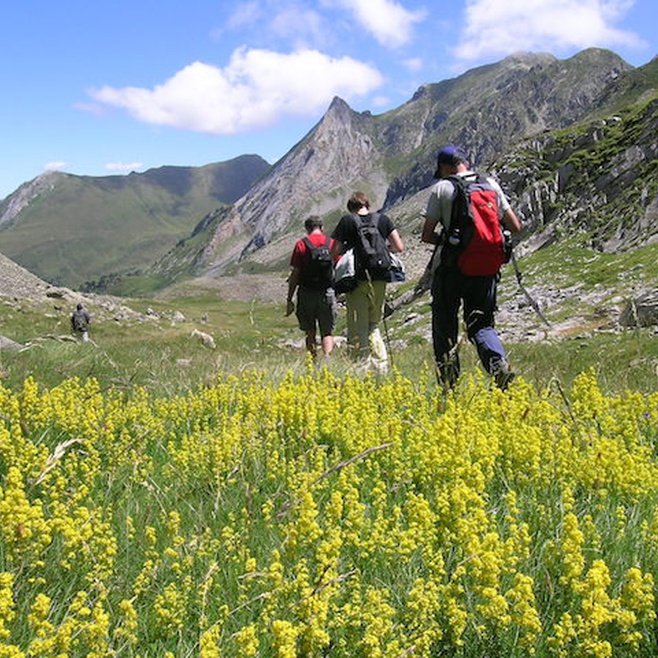 Guided tours Montarto Hotel Baqueira Beret Guided tours Montarto Hotel Baqueira Beret